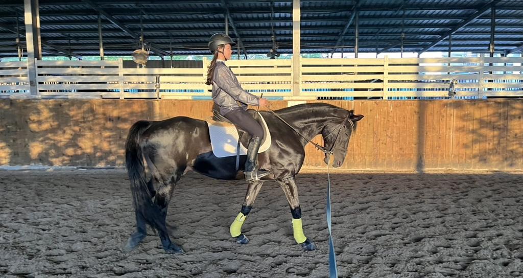 單堂英式馬術課程