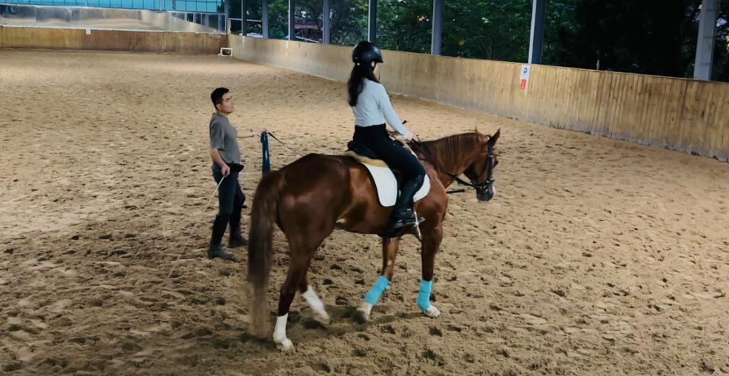 初次馬術體驗課程